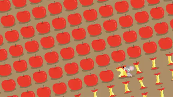 Mouse Timer