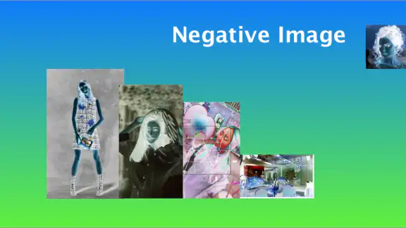 Negative Image - Invert Image,