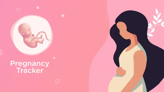 Pregnancy Tracker Week By Week