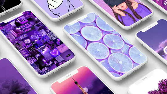 Purple Wallpapers: Backgrounds