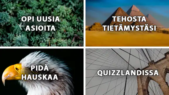 QuizzLand: Triviaa suomeksi