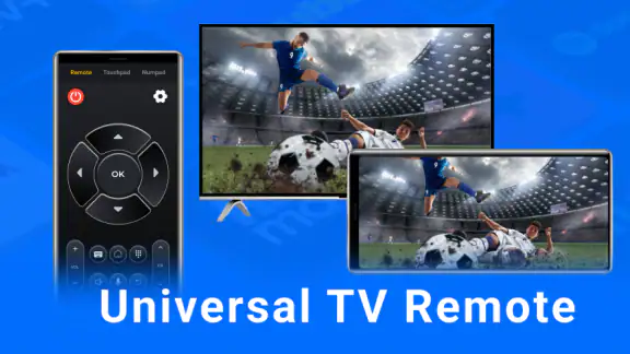 Universal TV Remote Control
