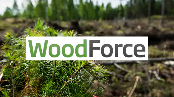 WoodForce