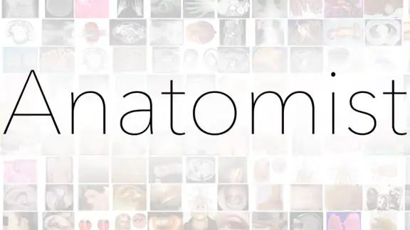Anatomist - Le Jeu d'Anatomie
