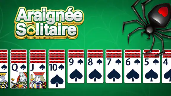 Araignée Solitaire