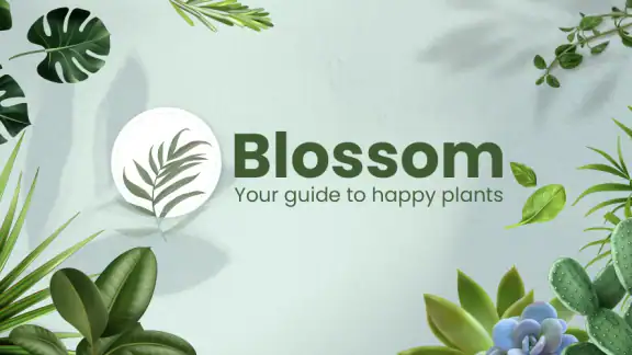 Blossom - Reconnaissez plantes