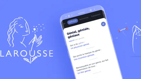 Dictionnaire Larousse français
