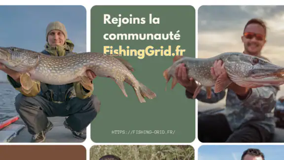 Fishing Grid - Pêche & partage