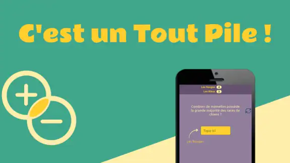 Le Tout Pile : quiz entre amis