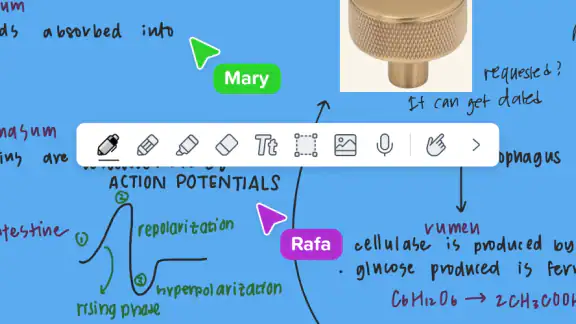 Notability : Notes par IA