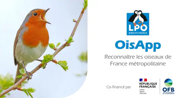 Ois'App - Oiseaux de France