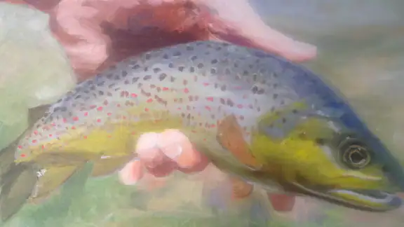 PLANS-PECHE en FRANCE