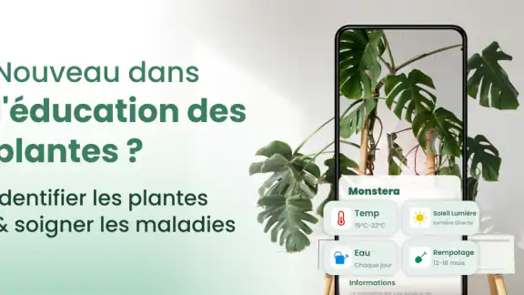 Plantify: Plante Identifiant