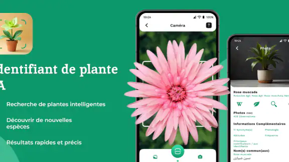 Reconnaitre Fleurs et Plantes