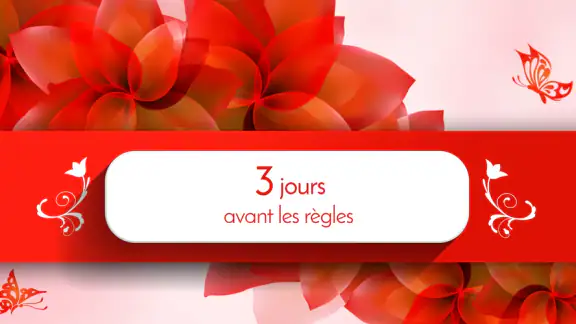 Regle Femme: Cycle Menstruel