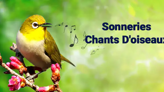 Sonneries Chants D'oiseaux