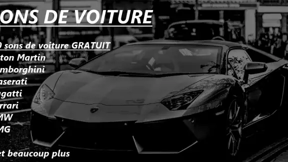SONS DE VOITURE