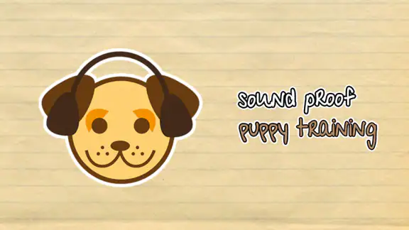 Sound Proof Puppy Training