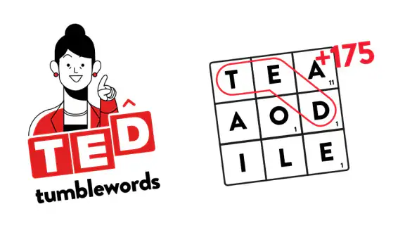 TED Tumblewords NETFLIX
