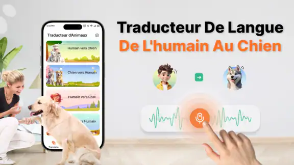 Traducteur De Langue Humain