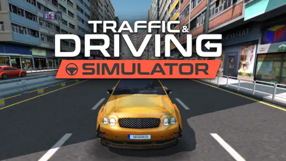 Traffic and Driving Simulator