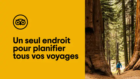 Tripadvisor : partez en voyage