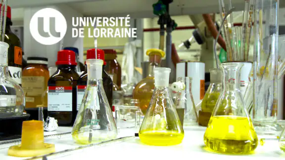 UnivLorraine