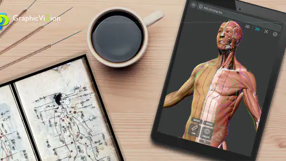 Visual Acupuncture 3D