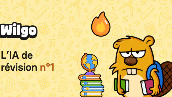 Wilgo : IA n°1 - Quiz Révision