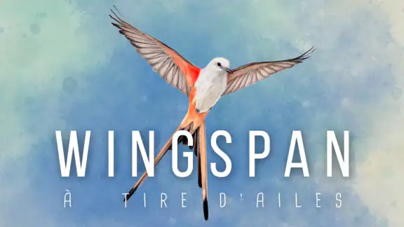Wingspan (À TIRE D'AILES)