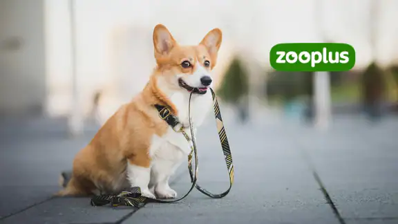 zooplus - Animalerie en ligne