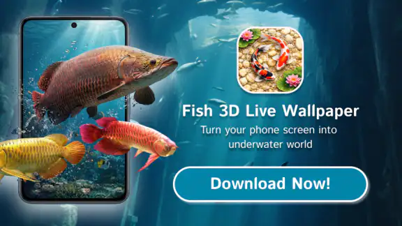 3D Fish Aqua Live Wallpaper
