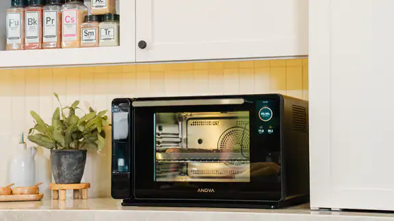 Anova Oven