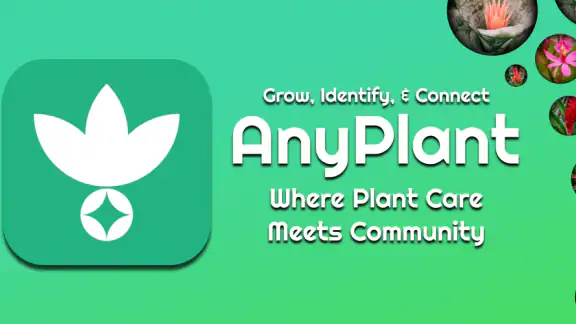 AnyPlant: AI Plant Identifier