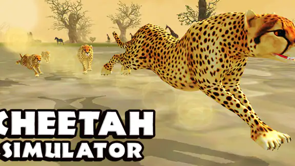 Cheetah Simulator