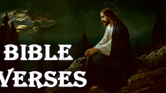 Daily Bible Verses