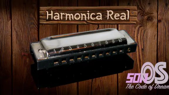 Harmonica Real