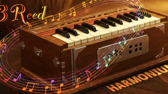 Harmonium 3 Reed