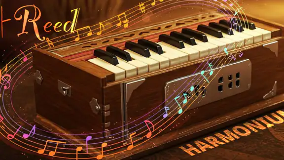 Harmonium 4 Reed