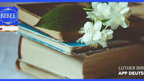 Luther Bibel app deutsch