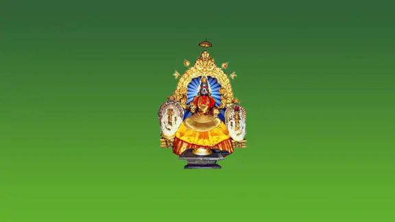 MMR Agri (Mookambika)