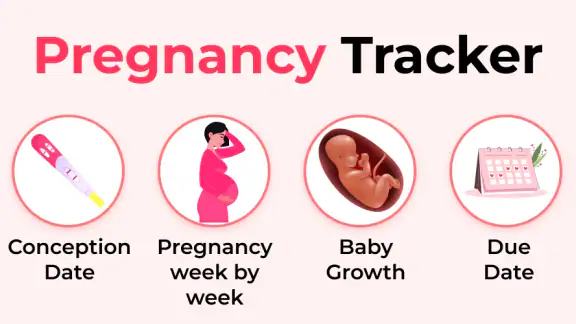 Pregnancy Tracker & Calculator