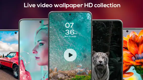 Video live wallpaper Set Video