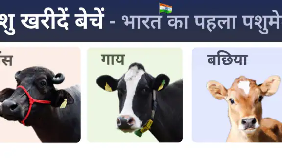 कोई भी पशु ख़रीदे बेचे Animall
