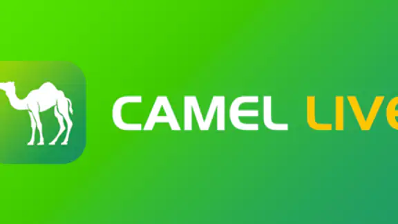 Camel Live