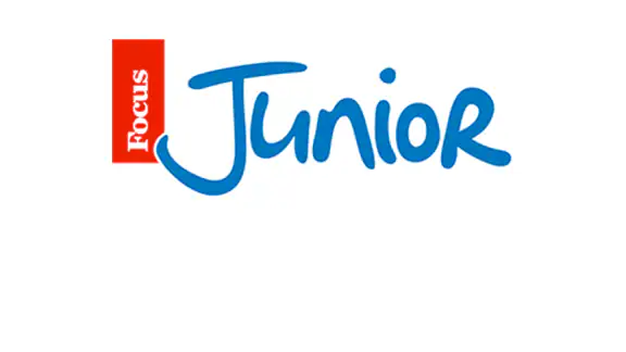 Focus Junior