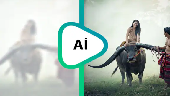 Migliora la Qualità Video