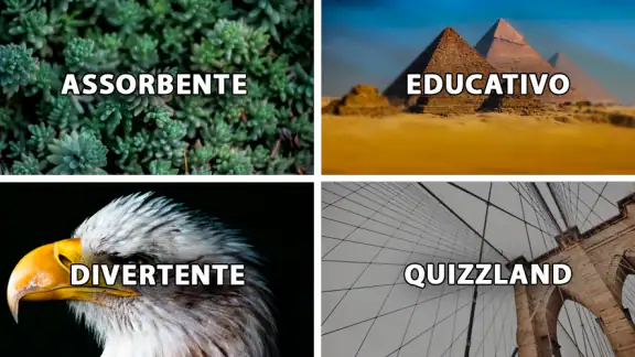 QuizzLand: quiz d'intelligenza