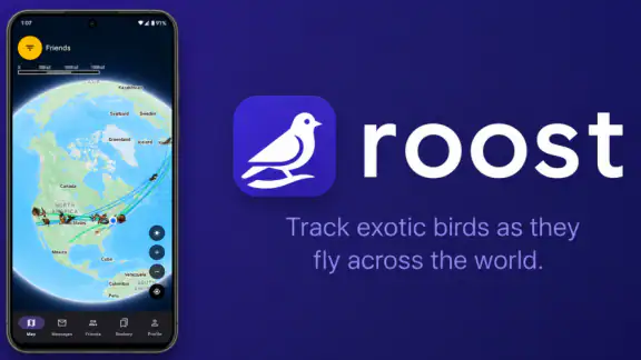 Roost Social