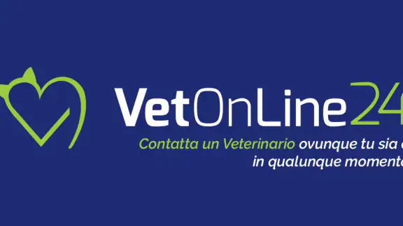 VetOnline24 - 2.0